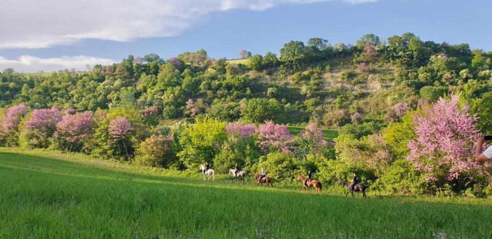 Hotel 3 Hills Boutique - The Ranch Experience Trilofos Exterior foto